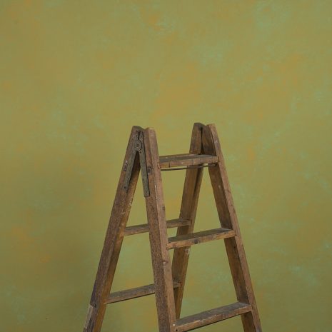 10373 Green Ochre MId Text La
