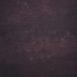 10541 Violet Mid Text St