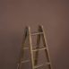 10599 Beige Rose Low Text La