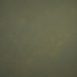 10729 Green Mid Text M