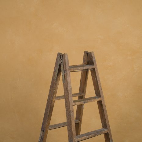 10769 Ochre Mid Text La