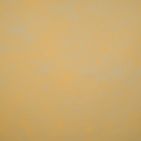 11344 Ochre Mid Text L