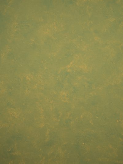 11421 Ochre Green Mid Text M