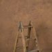 11495 Ochre Mid Text STa