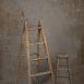 1057 Warm Grey Strong Text XLa