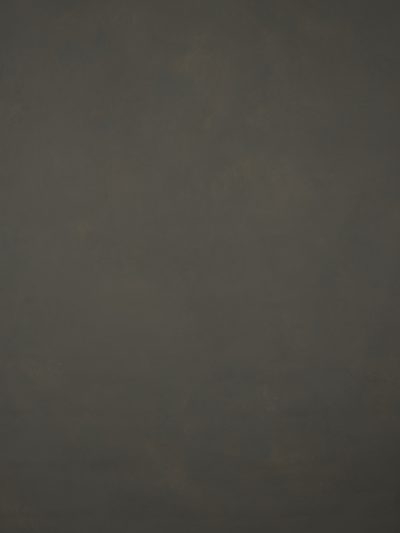 1125 Cold Grey Low Text L+