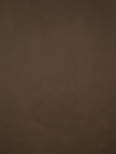 1161 Brown Low Text L+