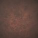 1174 Brown Red Strong Text L+