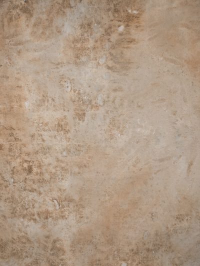 1194 Beige Strong Text L+