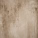 1202 Beige Strong Text L+