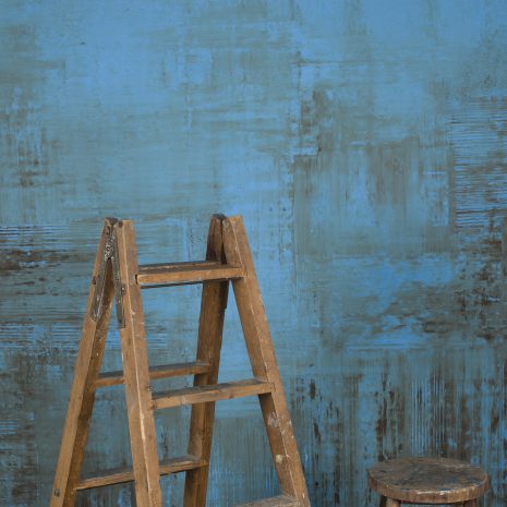 1231 Blue Brown Strong Text L+a
