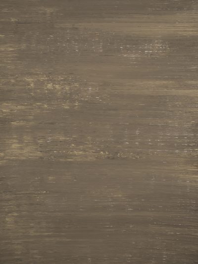 11623 Brown Strong Text XS