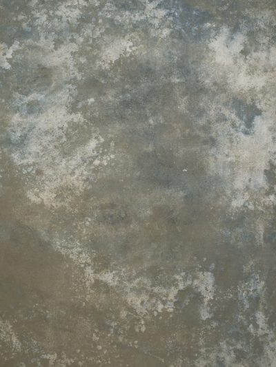 11658 Warm Grey Strong text L