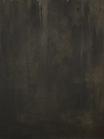 11664 Dark Warm Grey Strong Text L
