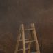 11679 Brown Mid Text L a