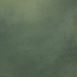 11680 Green Low Text L