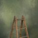 11683 Green Mid Text La