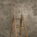 11704 Beige Strong Text La