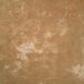 11711 Ochre Strong Text L