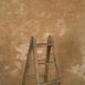 11711 Ochre Strong Text La