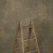 11712 Ochre Distressed Text La