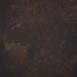 11767 Brown Strong Text M