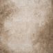 11789 Beige Strong Text M