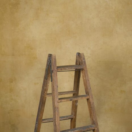 11795 Ochre Mid Text Ma