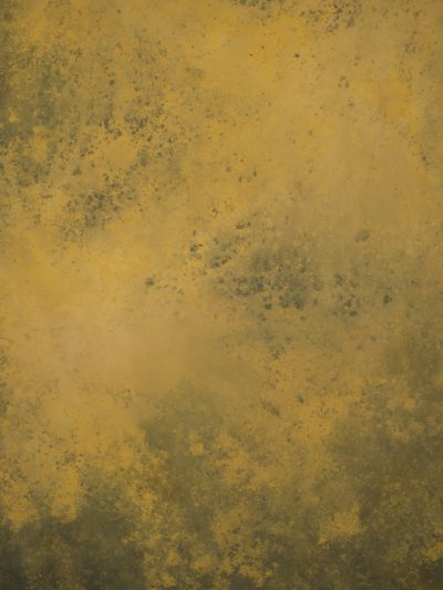 11796 Ochre Strong Text M