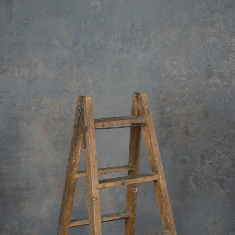 11826 Cold Grey Beige Strong Text STa