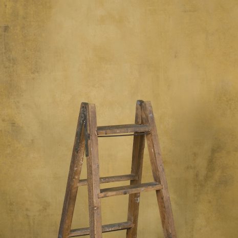 11842 Ochre Mid Text STa