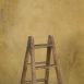 11842 Ochre Mid Text STa
