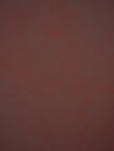 1273 Red Low Text L+