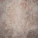 1276 Red Beige Strong Text L+