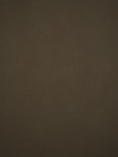 11895 Brown Low Text L