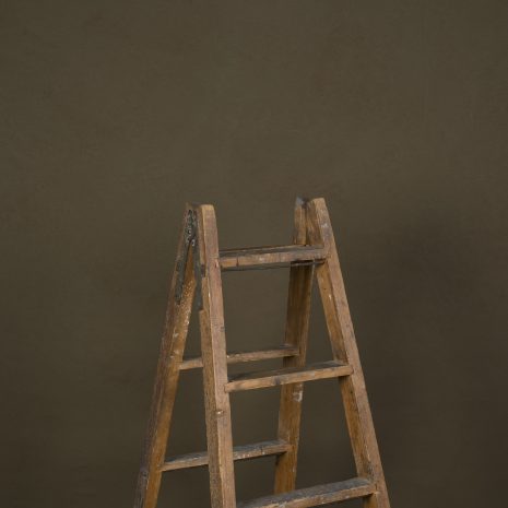 11913 Olive Green Low Text La