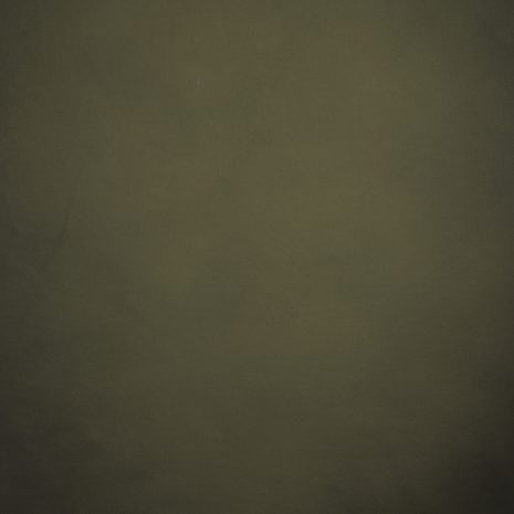 11969 Olive Green Low Text M