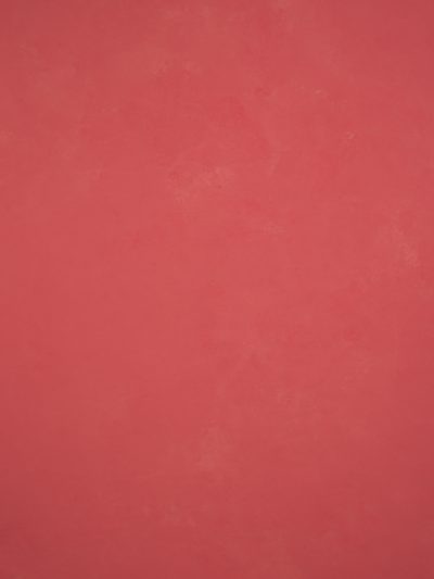 11977 Pink Low Text M