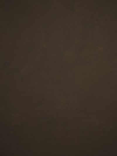 12065 Brown Low Text L