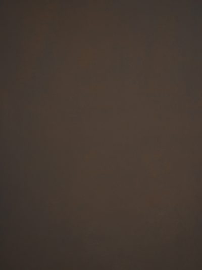 12067 Brown Low Text L