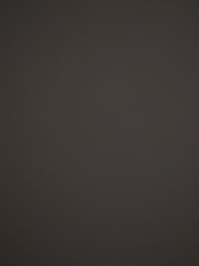 12069 Dark Brown Low Text L
