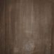 12075 Brown Strong Text L