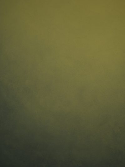 12083 Green Low Text L