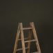 12097 Olive Green Low Text La