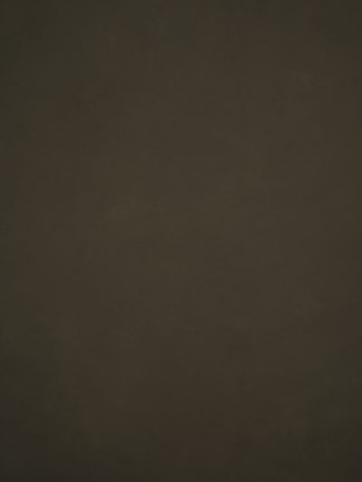 12098 Olive Green Low Text L