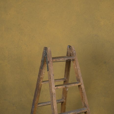 12106 Ochre Mid Text La