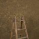 12109 Ochre Strong Text La