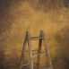 12110 Ochre Strong Text La