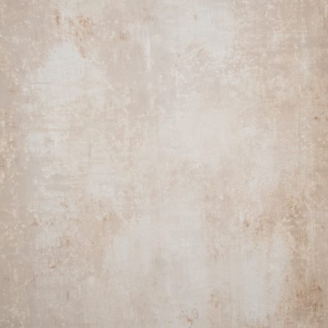 12116 Beige Stong Text L