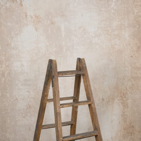 12116 Beige Stong Text La